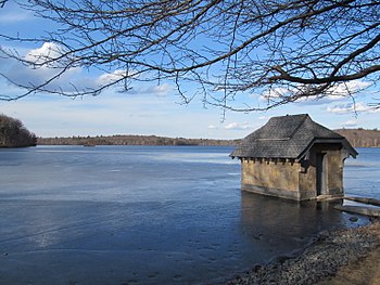 Weston Property Owner to Pay $40K for Illegal Destruction of Protected Wetlands