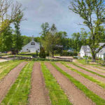 Mass. Brewery Buys Conn. Farm in Major Expansion