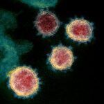 Mass. COVID-19 Cases On The Rise